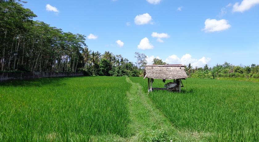 Angel House Ubud Buitenkant foto
